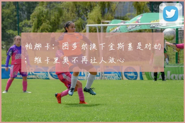 帕柳卡：图多尔换下金斯基是对的；维卡里奥不再让人放心