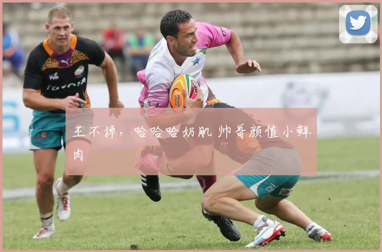 王不掉，哈哈哈奶肌 帅哥颜值小鲜肉