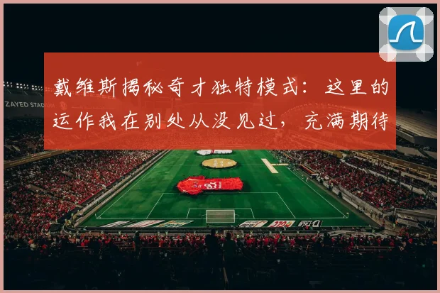 戴维斯揭秘奇才独特模式：这里的运作我在别处从没见过，充满期待