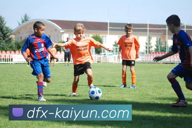 开云APP 体育赛事宣传图